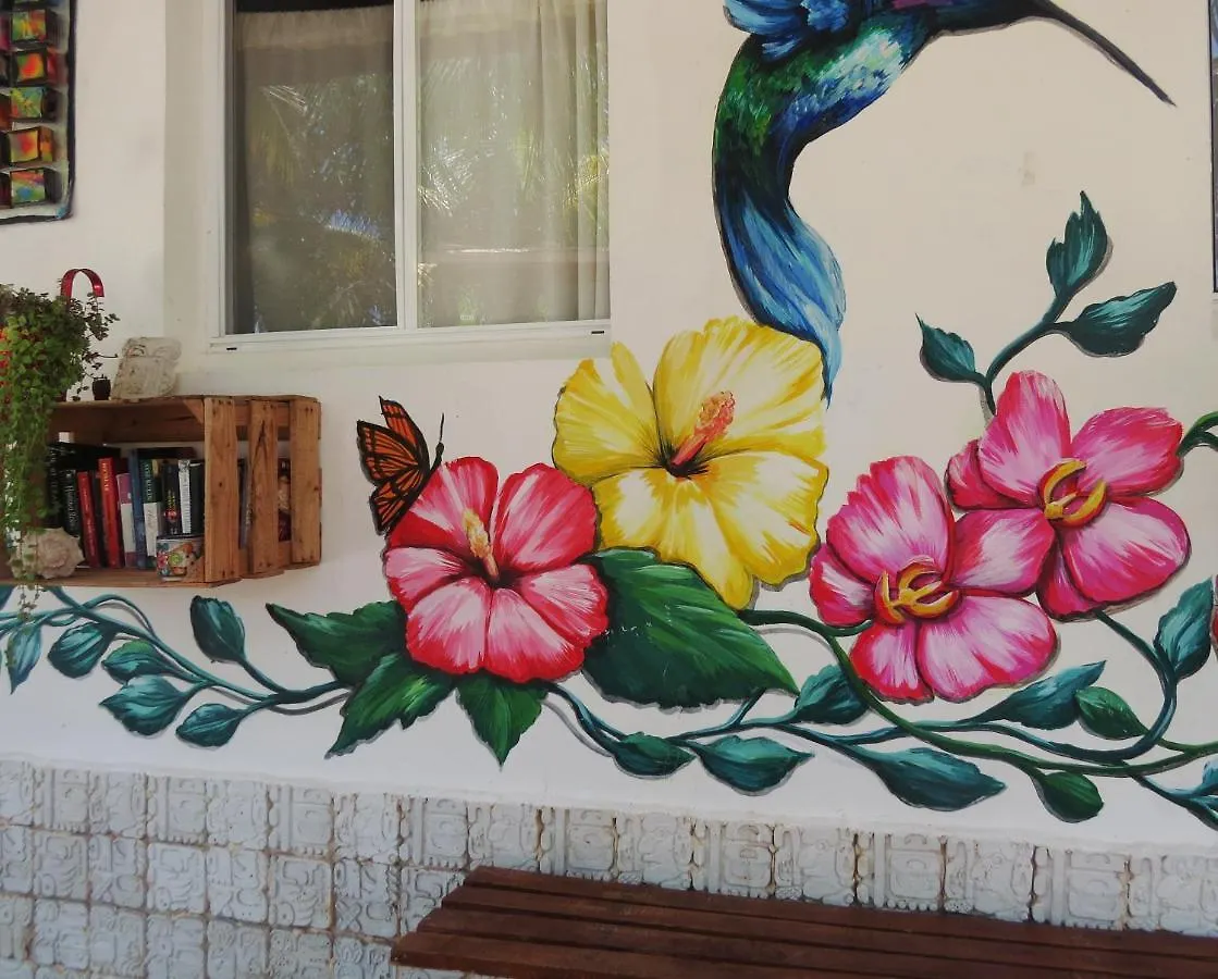 Art Maya Rooms Isla Holbox Inn