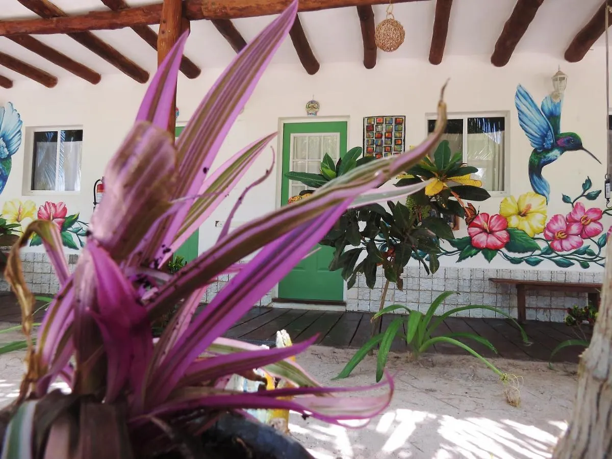 Inn Art Maya Rooms Isla Holbox