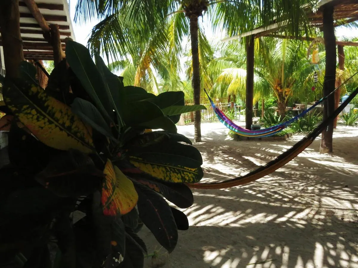 Art Maya Rooms Isla Holbox 0*,